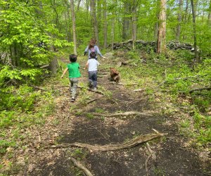 Let your kids loose to run free on the hiking trails right here in NYC. Photo by Sara M.