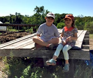 20 Fun Spring Activities for Westchester Kids Enjoy a day on the farm at Hilltop Hanover Farms. Photo by Meagan Newhart