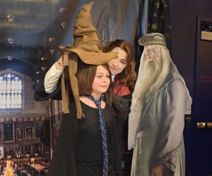 Learn the science of sorcery at the Hogwarts exhibit. Photo courtesy of Connecticut Science Center