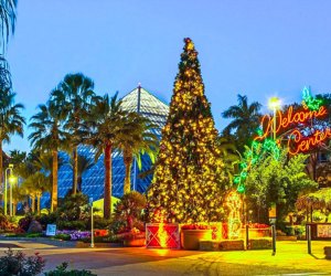 Moody Gardens hosts one of the best holiday events near Houston. Photo courtesy of Moody Gardens