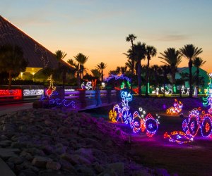 Galveston is great for more than just the beach. Check out the Christmas lights display at Moody Gardens. Photo courtesy of Holidays at Moody Gardens