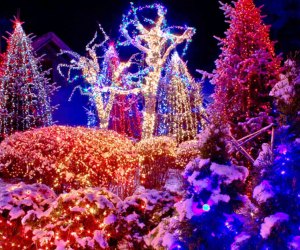 In every part of Connecticut, you can find holiday lights and family fun!