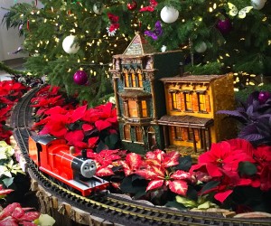 Bring on the Christmas Cheer with 5 Free Holiday Activities in Washington, DC