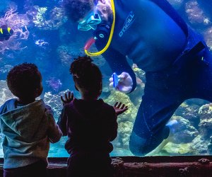 Houston ​Aquarium Best Science Museums Travel Texas