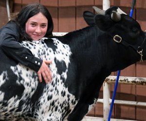 Girl in a black shirt hugging a cow for National Day of the Cowboy and Cowgirl