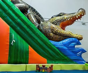 Wonderwild Place Space Houston Best Birthday Venues