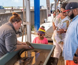 Epic Summer Bucket List of Things To Do in Houston with Kids World Ocean Day Galveston