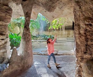 If you haven't been yet, put the Houston Museum of Natural Science on your list for this winter. Photo courtesy of Houston Museum of Natural Science