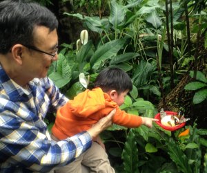 Butterfly Garden at the Houston Museum of Natural Science 