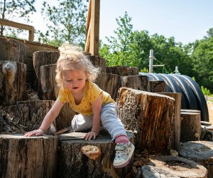 Best Playgrounds in Houston: Destination Playgrounds Worth the Drive Houston Arboretum 