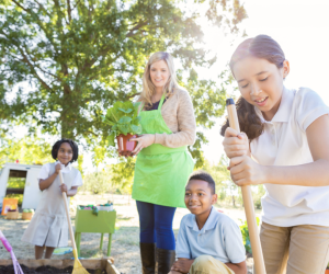 Start a Green Club: Environmental Activities Kids Can Do at Home