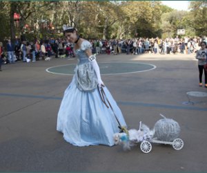 charl schurz halloween howl 2020 rules Halloween Howl Healthy Hound Fair Mommypoppins Things To Do In New York City With Kids charl schurz halloween howl 2020 rules