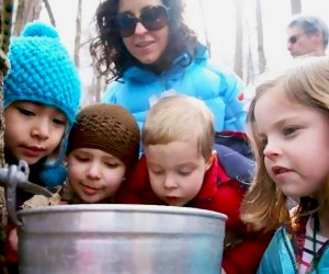 Hudson Highlands Nature Museum will offer maple sugaring tours this weekend. Photo courtesy of Hudson Highlands