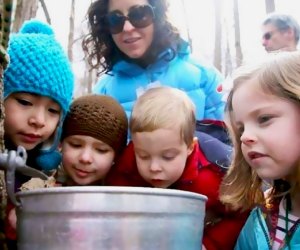 Discover the magic of maple sugaring with a Maple Lanes tour at the Hudson Highlands Nature Museum. Photo courtesy of the museum