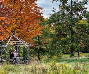 Hunter Mountain: Mountain Top Arboretum