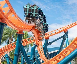 SeaWorld’s new Ice Breaker ride is its first launch roller coaster, with four separate launch elements, both backward and forward. Photo courtesy SeaWorld Orlando