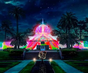 This Golden Gate Park installation is purely San Francisco. Photo courtesy of Illuminate SF