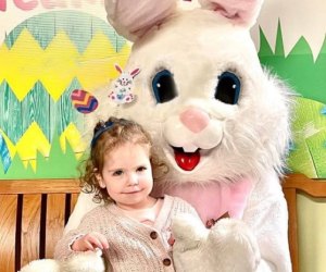 Family-friendly spots around Connecticut are hosting brunch with the Easter Bunny. Easter Bunny photo courtesy of Stew Leonards