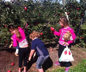 Top 10 Fun Things to do with Kids in the Hamptons & North Fork in the Fall null
