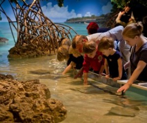 6 Museum Exhibits for Kids and Families in Boston null