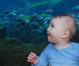 Indoor Winter Fun at your Favorite Summer Spots null