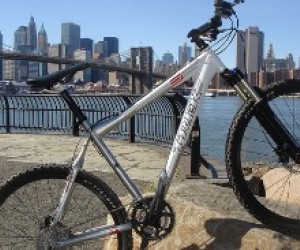 cheap rental bikes near me