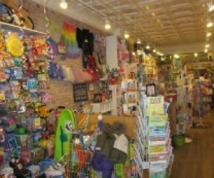 toy stores in brooklyn