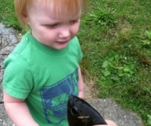 Kid-Friendly Fishing for Westchester Families