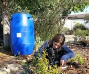 The Drought: Ways to be Water Wise for California Families
