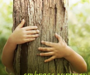 Washington Montessori School Summer Camps in Litchfield County, Connecticut null