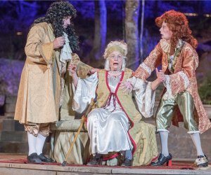 Imaginary Invalid: A French Farce in Topanga for Summer Evening Giggles