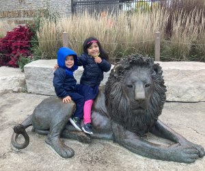 Visit the Lincoln Park Zoo in Chicago, photo courtesy of Mommy Poppins