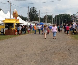 Hartford County 4-H Fair | MommyPoppins - Things to do in Connecticut with Kids