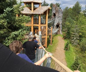 Adirondack Mountains with kids: Wild Center