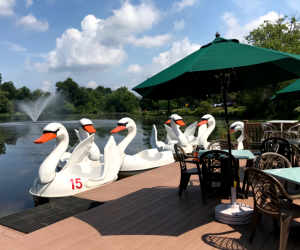 Swan boats at Verona Park