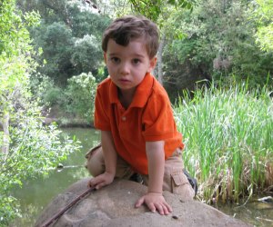 The ponds and lakes at Descanso are great for duck and turtle watching.