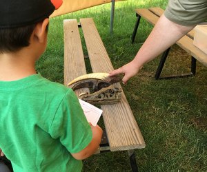 Field Station: hands-on dinosaur discovery