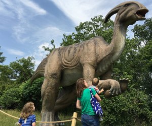 How often do you get to see life-size dinosaurs up close?