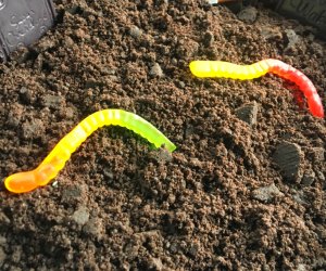 Dirt Desserts usually involve chocolate and gummy worms. 
