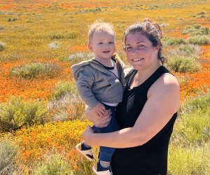 100 best things to do in Los Angeles: Antelope Poppy Reserve