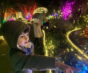 Morris Arboretum Holiday Garden Railway Nights