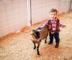 Great thrift haul on some kids cowboys clothing! Sadly I don't have a kid!  : r/cowboys