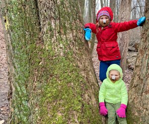 Bundle up the little ones and head outdoors for a hike. Photo by Catherine Wargo Roberts