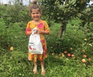 Best Pick-Your-Own Orchards for Toddlers in the Fairfield County Area