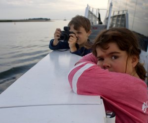 TGIF Cruise: Relax (and Learn!) on the Water in Norwalk