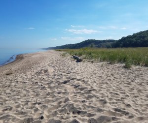 Day Trips near Chicago for Kids: Indiana Dunes