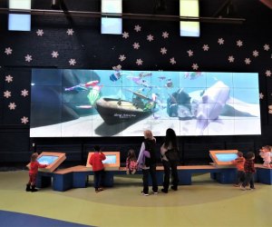 Photo of children at interactive station in Maritime Aquarium.