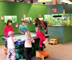 Photo of kids at Maritime Aquarium learning station.