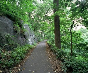 Hiking trail in Inwood Hill Park