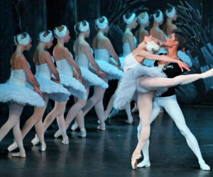 Delight in the artistry of Swan Lake. Photo courtesy of the National Theatre